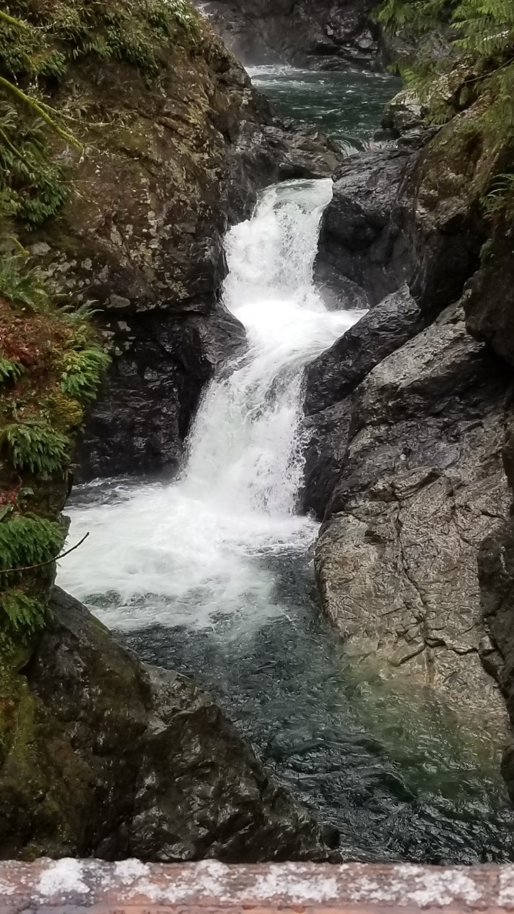 Our Constraints and&nbsp;Advantages