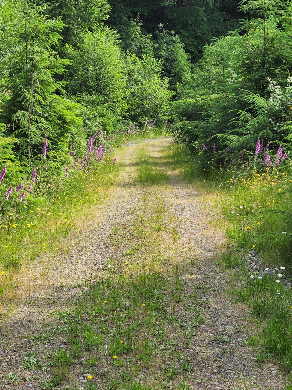 Ease Up: Legal Rights to Your Land to Consider before&nbsp;Purchase